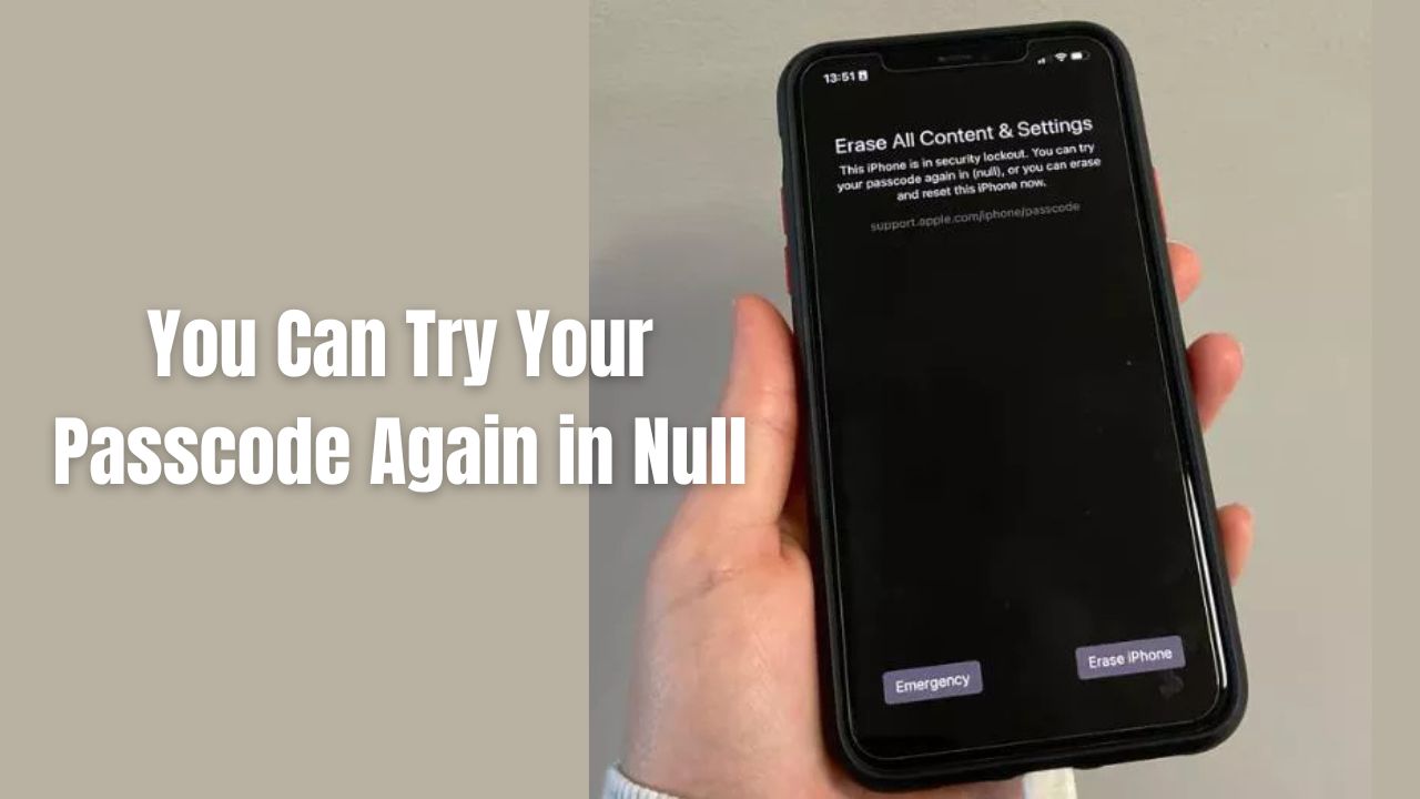 You Can Try Your Passcode Again in Null